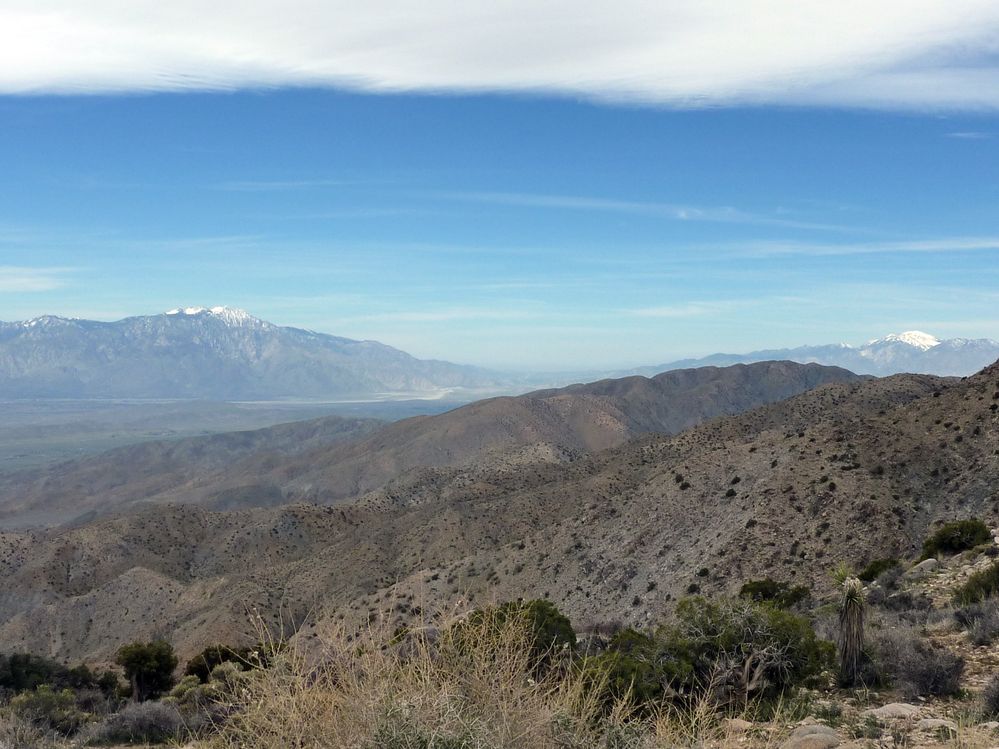 joshua tree national park (45).JPG